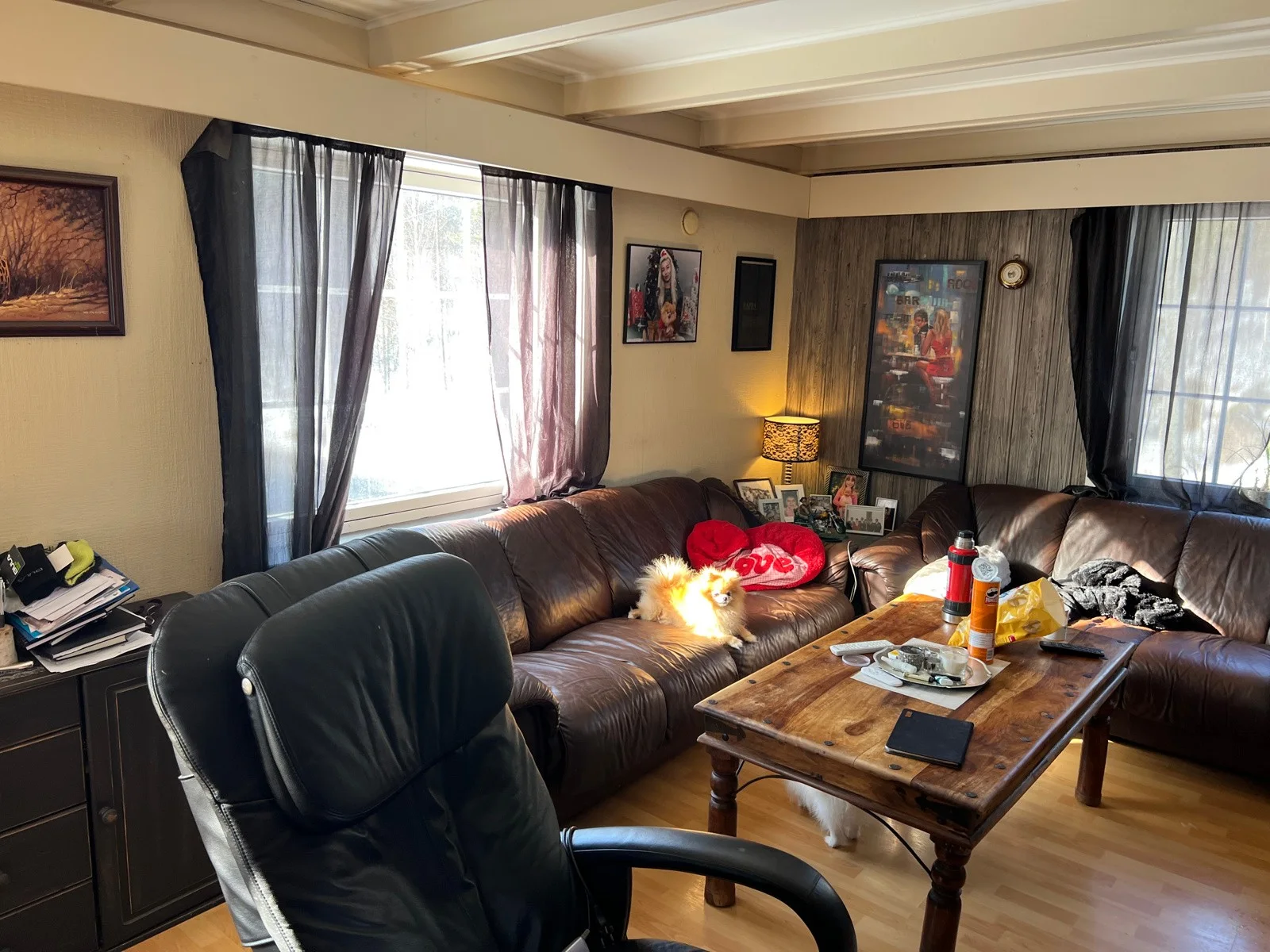 Photo 19