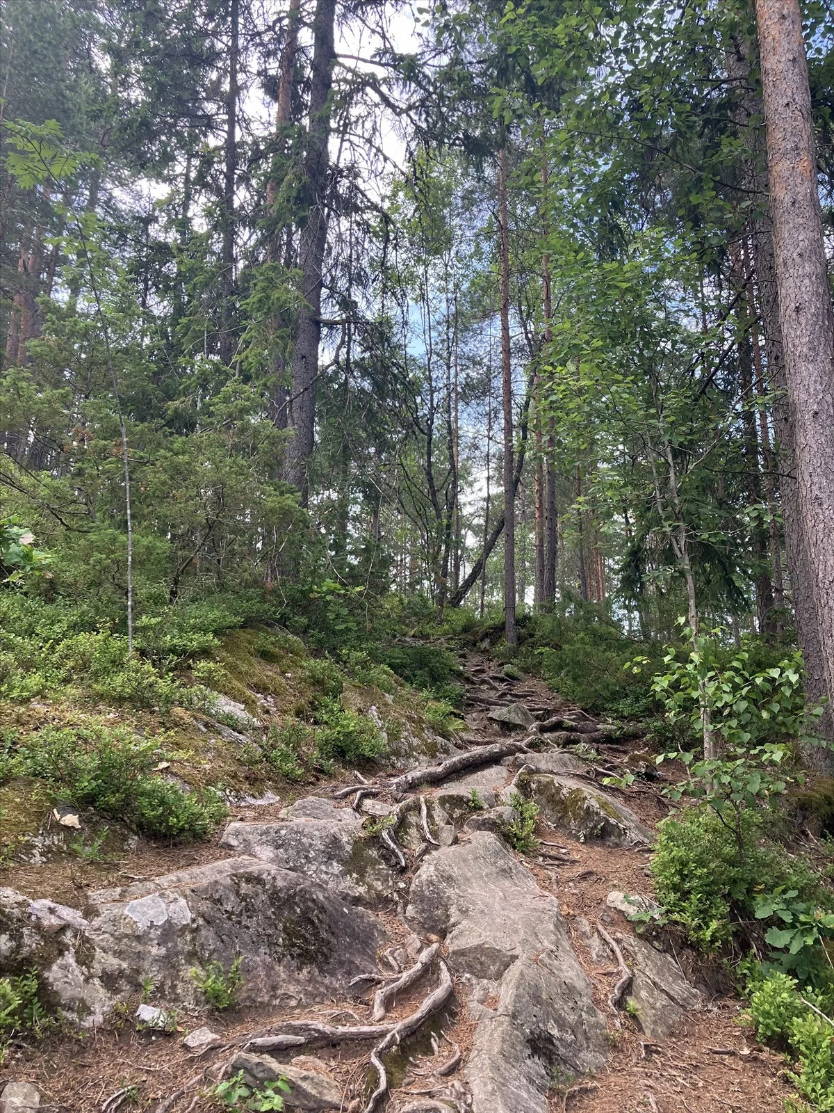 Photo 31