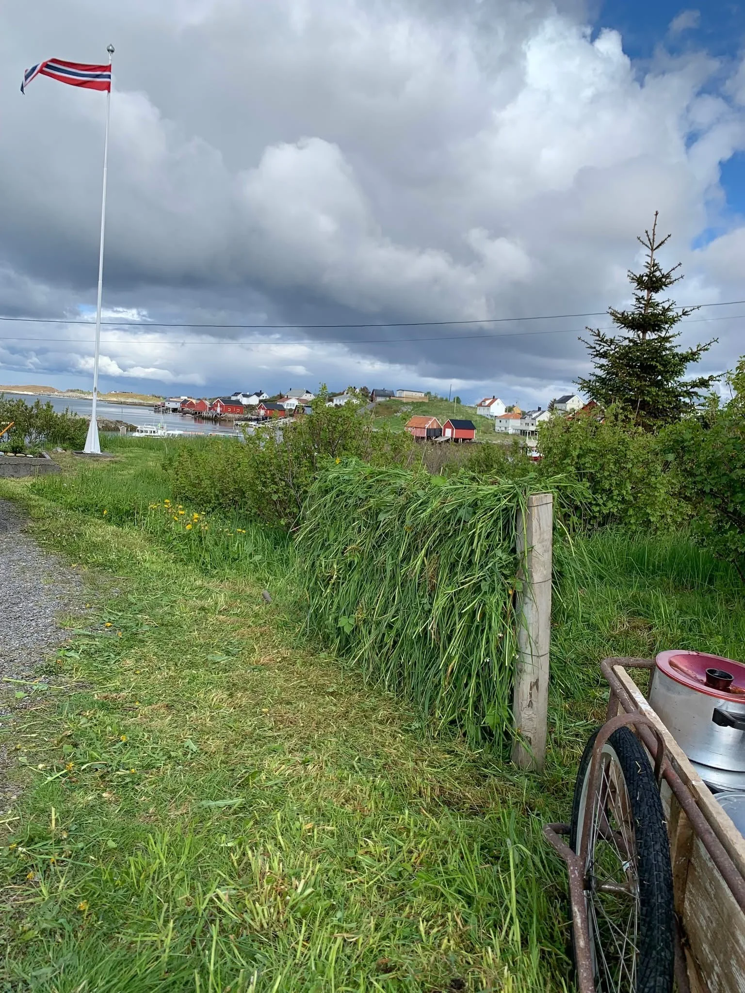Photo 20