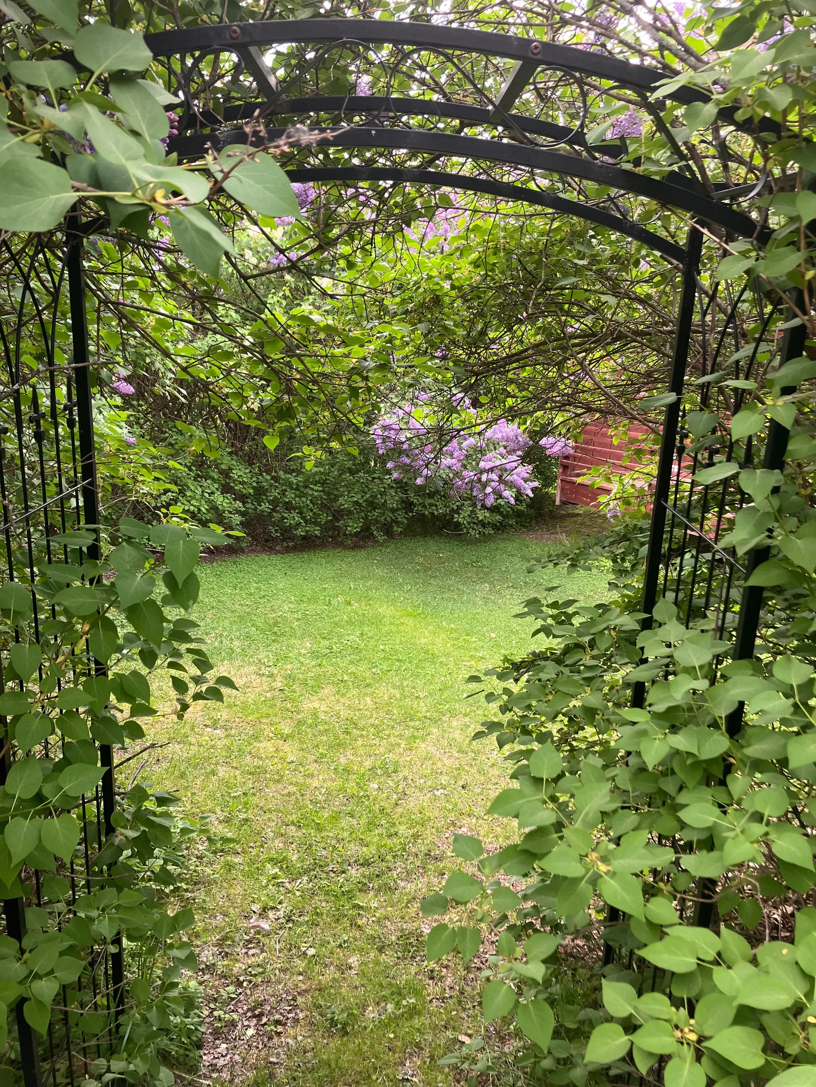 Photo 3