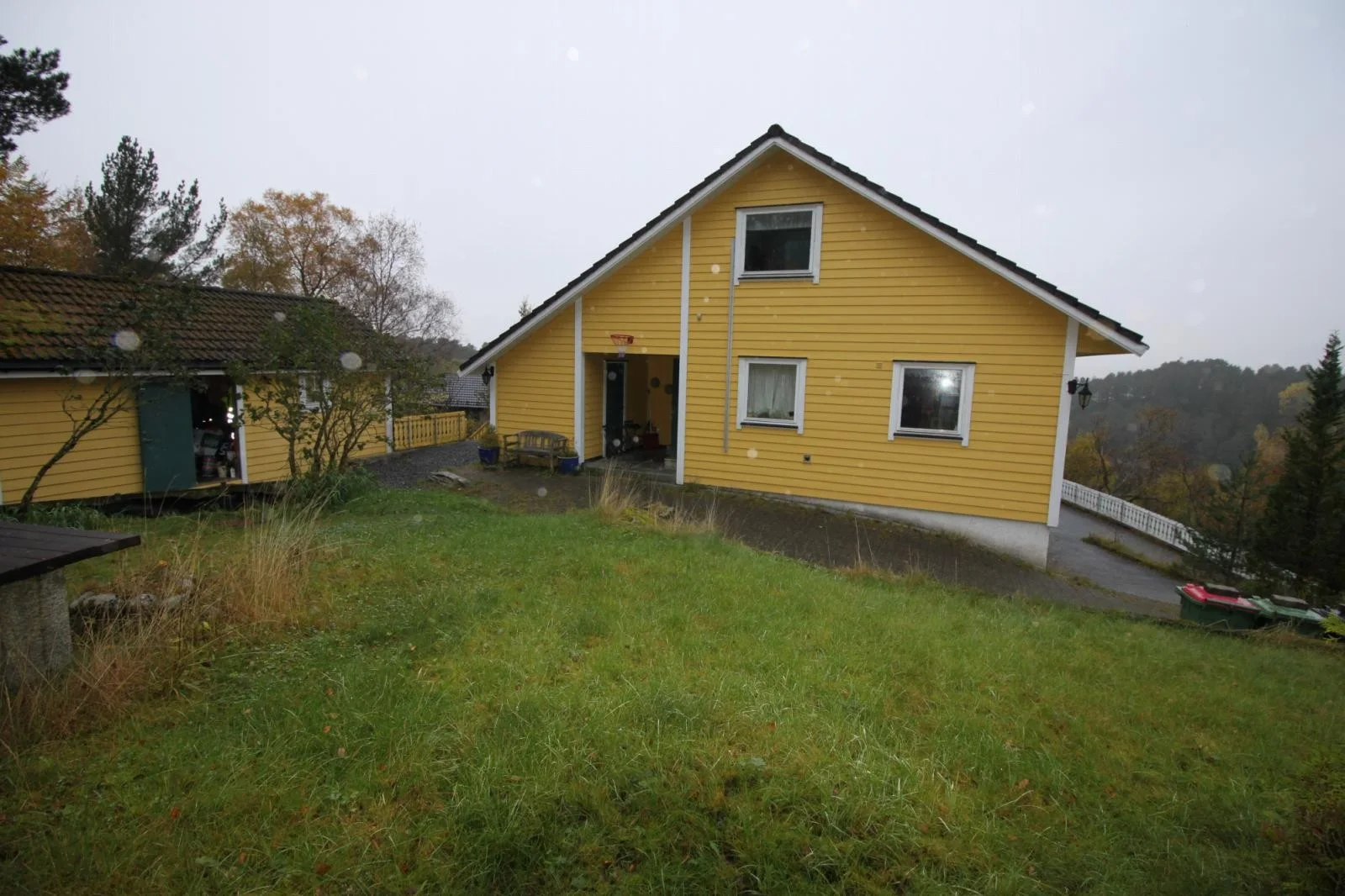 Photo 4