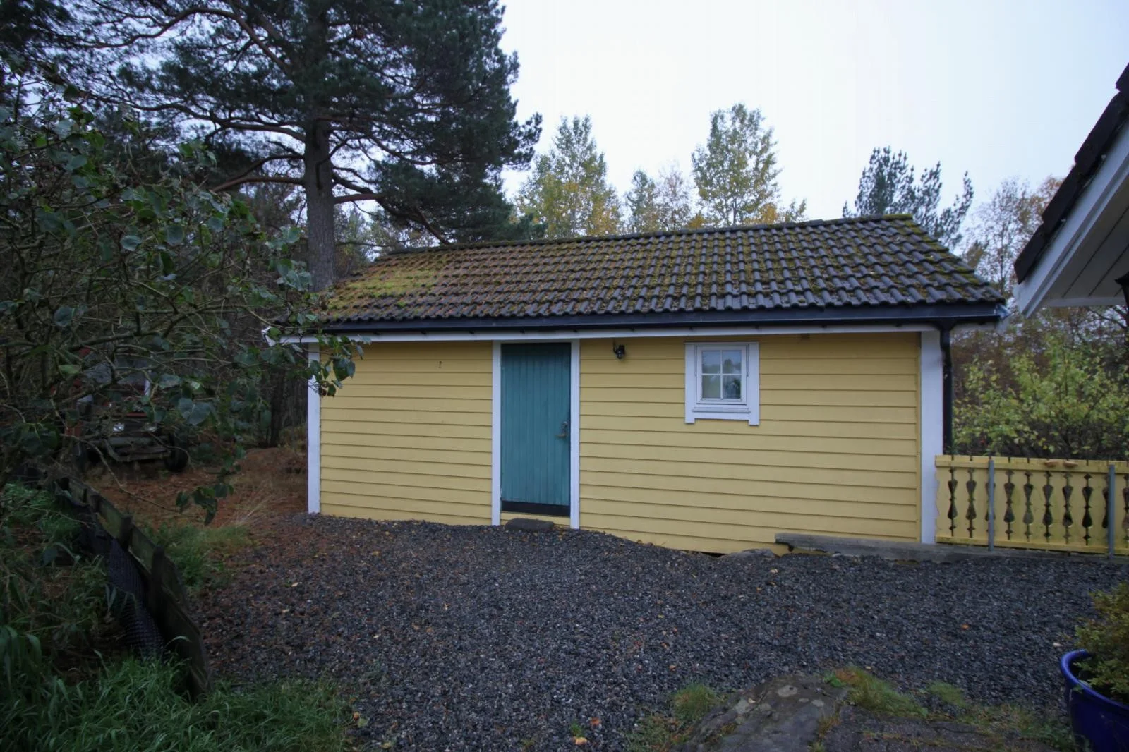 Photo 7