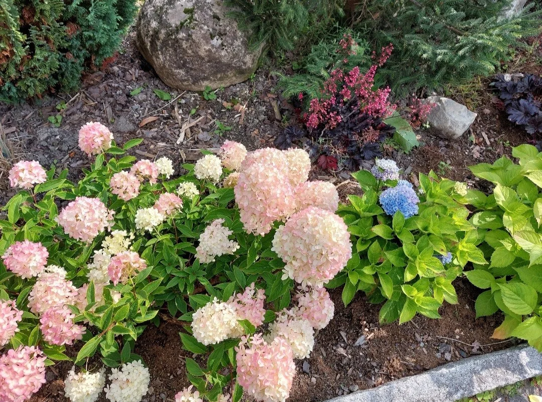 Photo 43