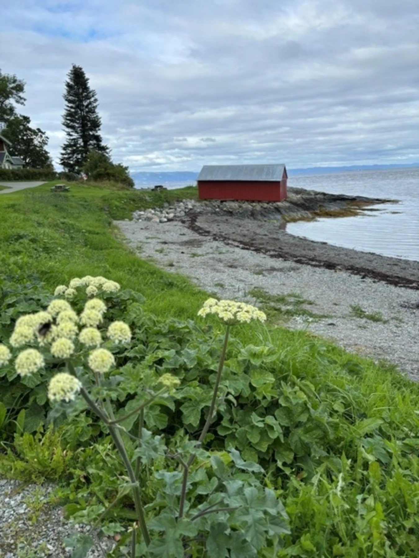 Photo 23