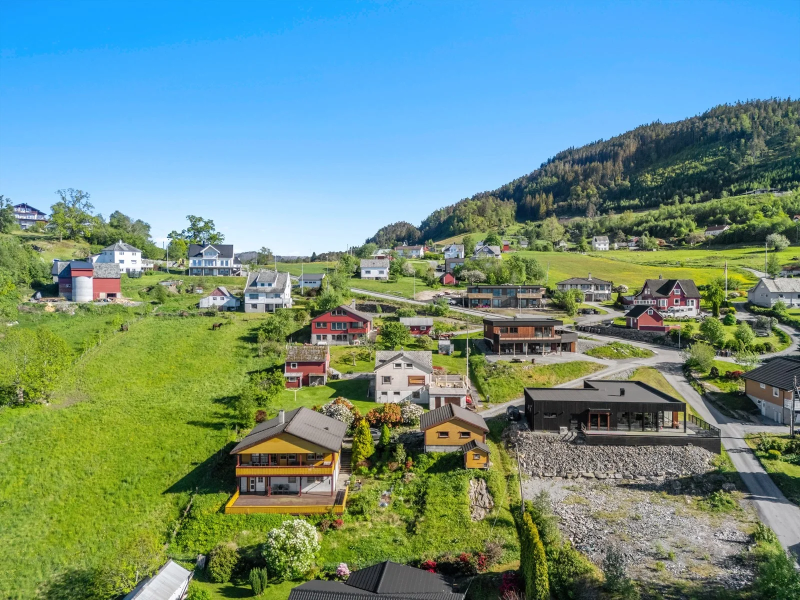 Photo 51