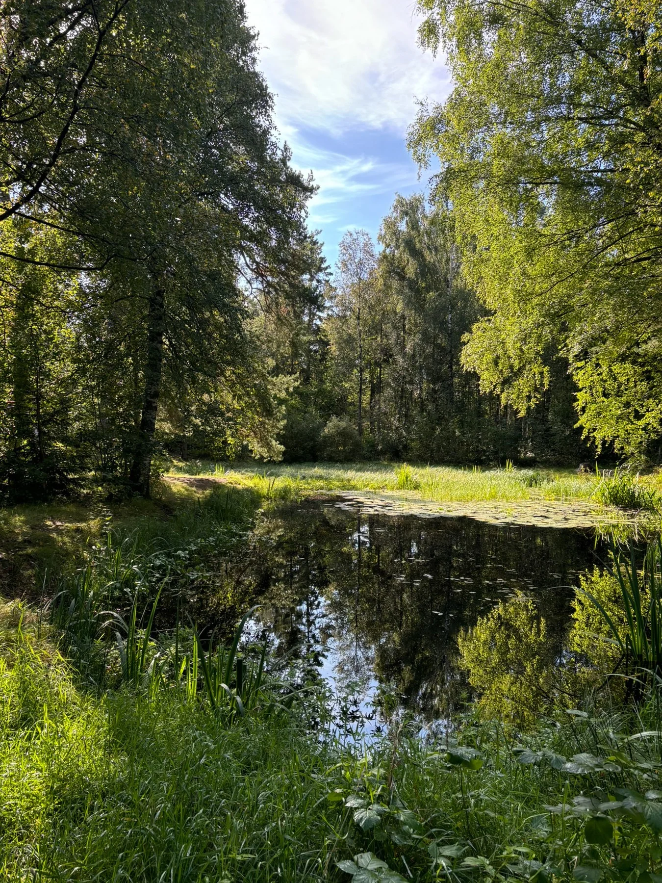 Photo 41