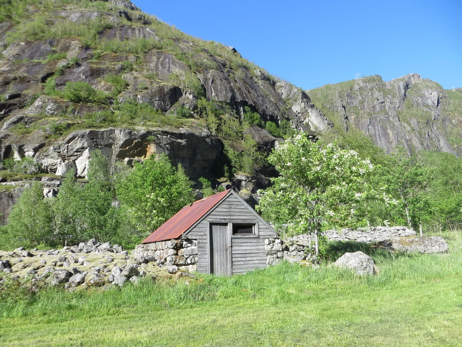Photo 35