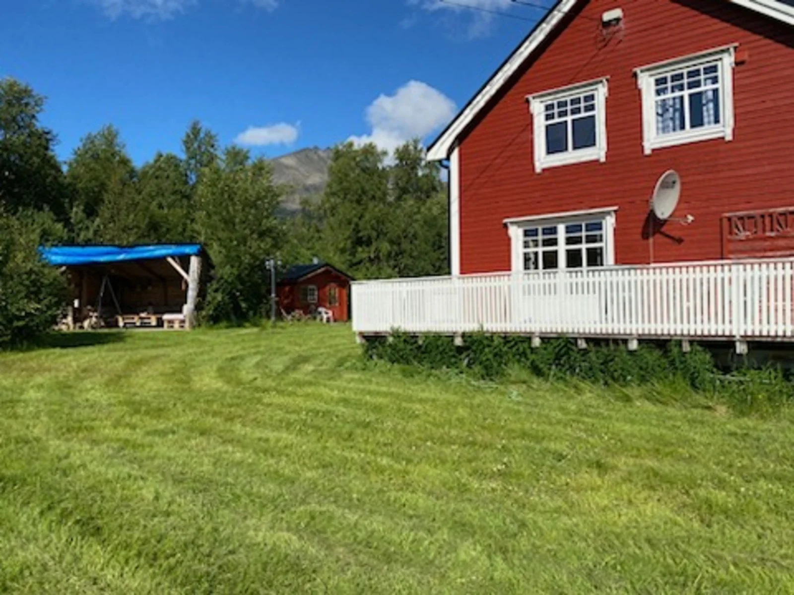 Photo 41