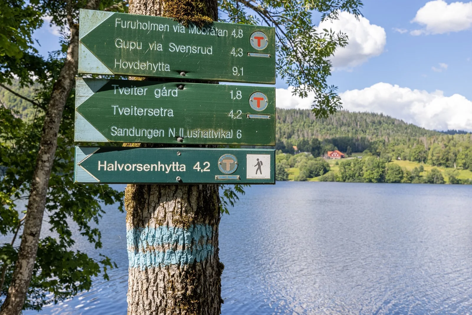 Photo 39