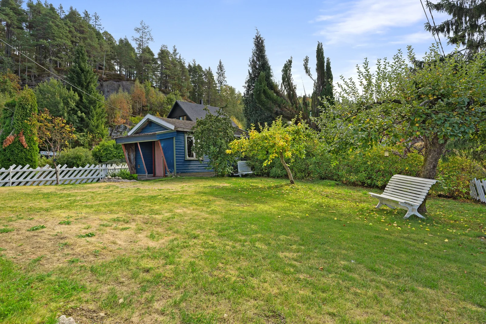 Photo 29