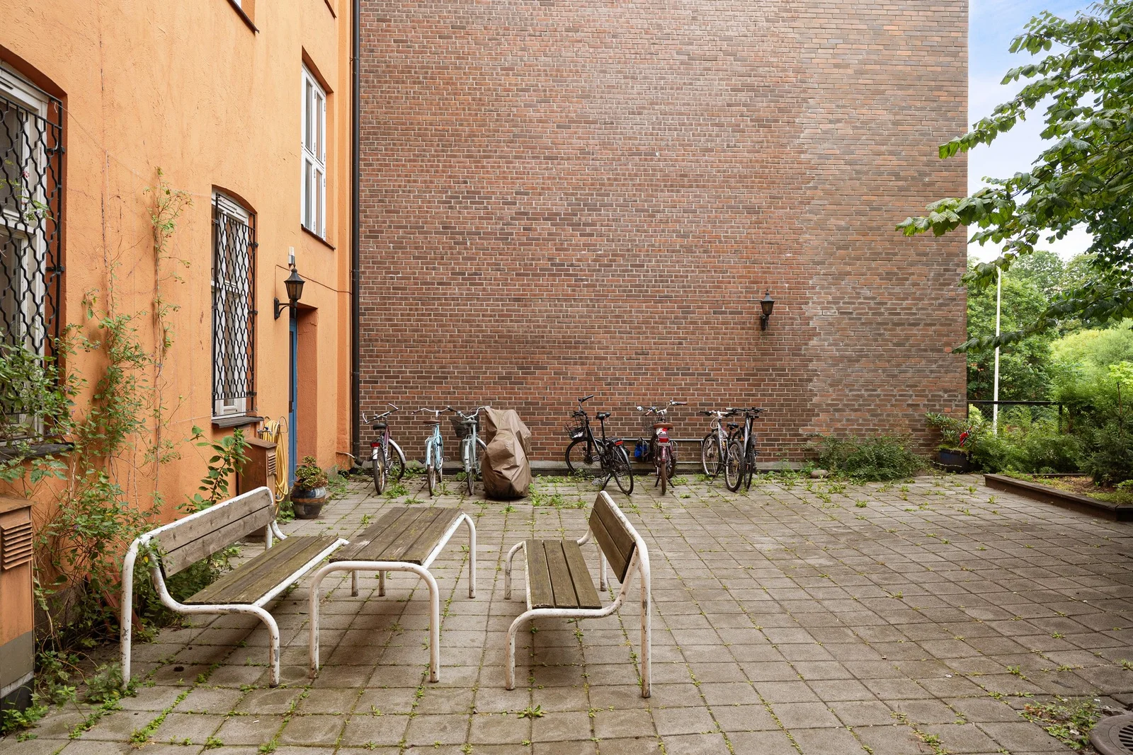 Photo 21