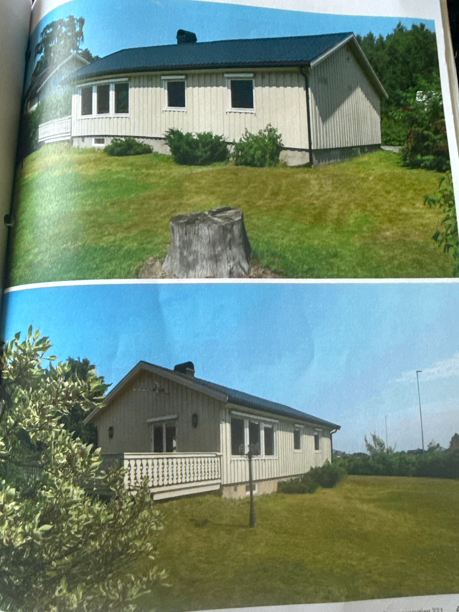Photo 11