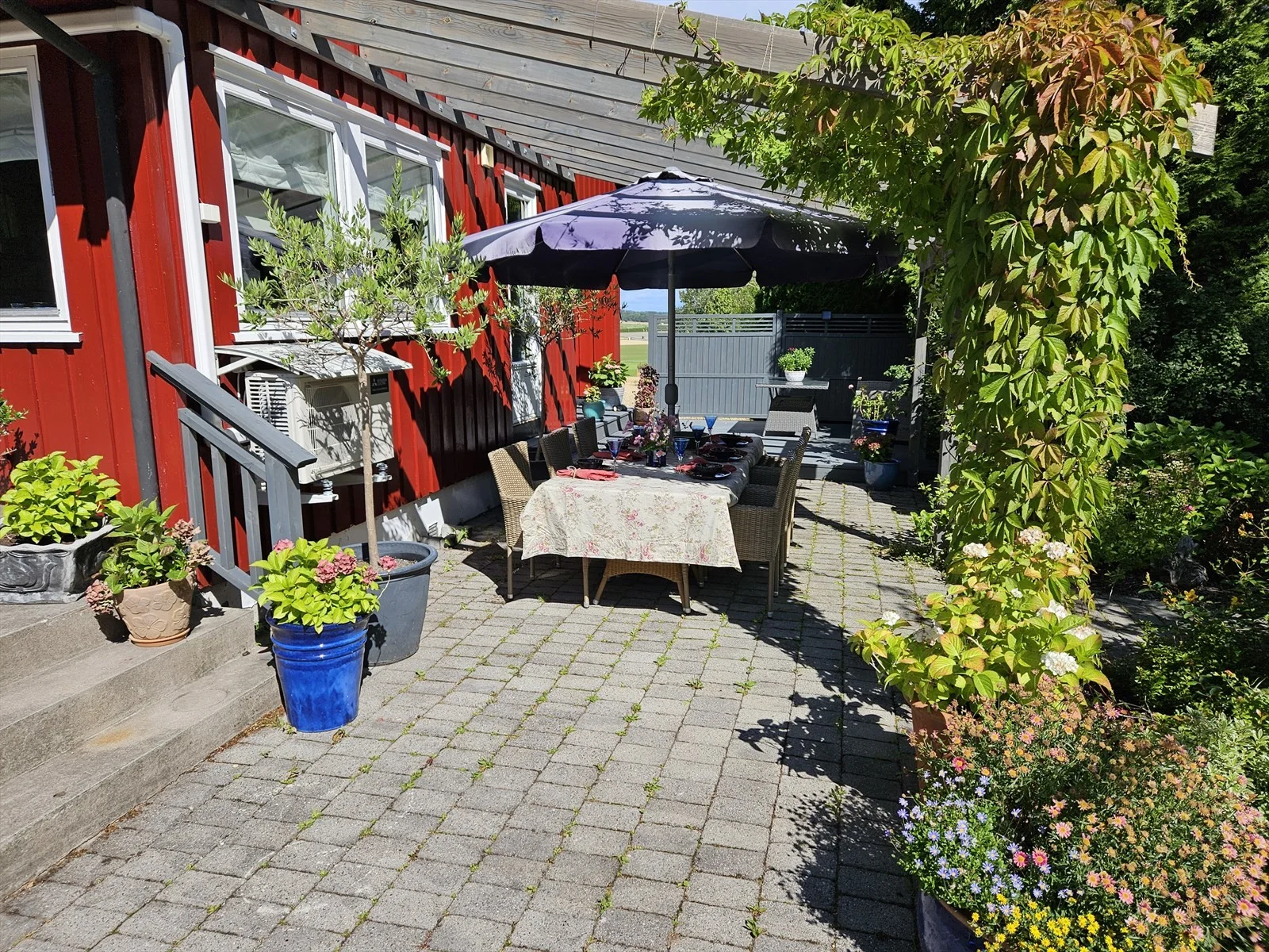Photo 36