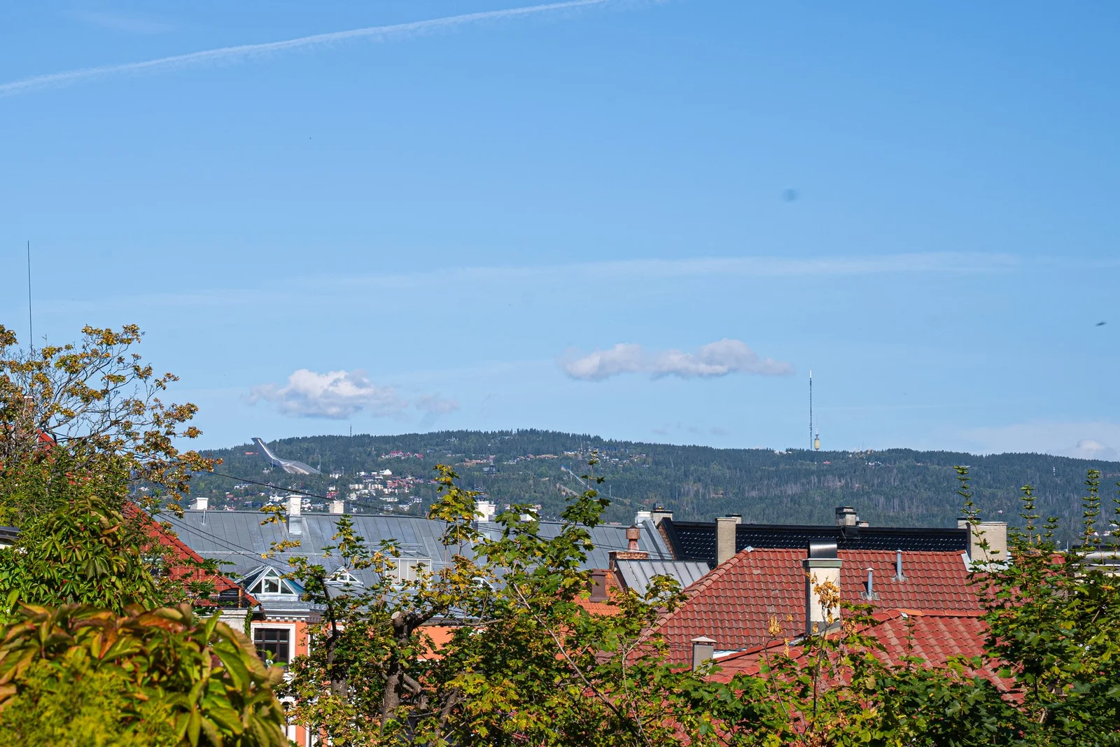 Photo 44
