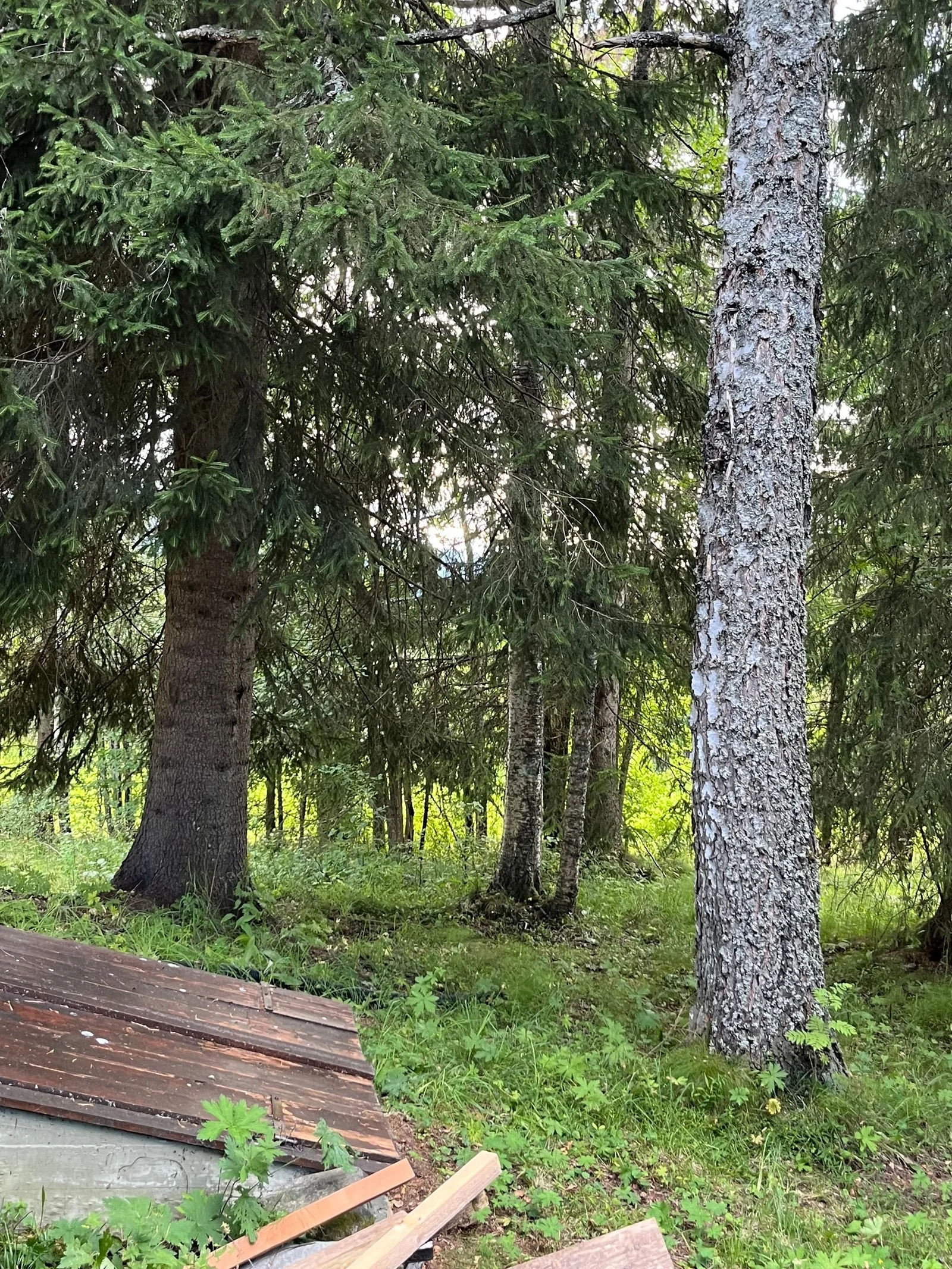 Photo 21