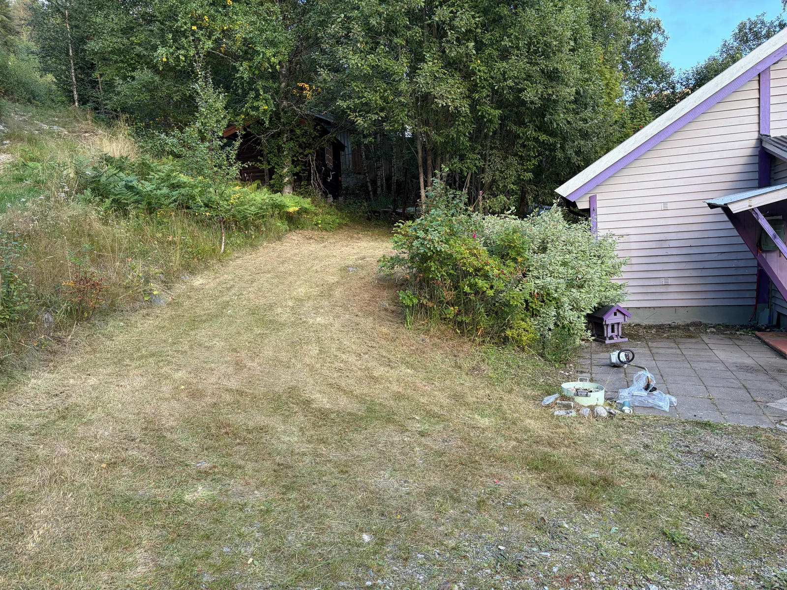 Photo 41