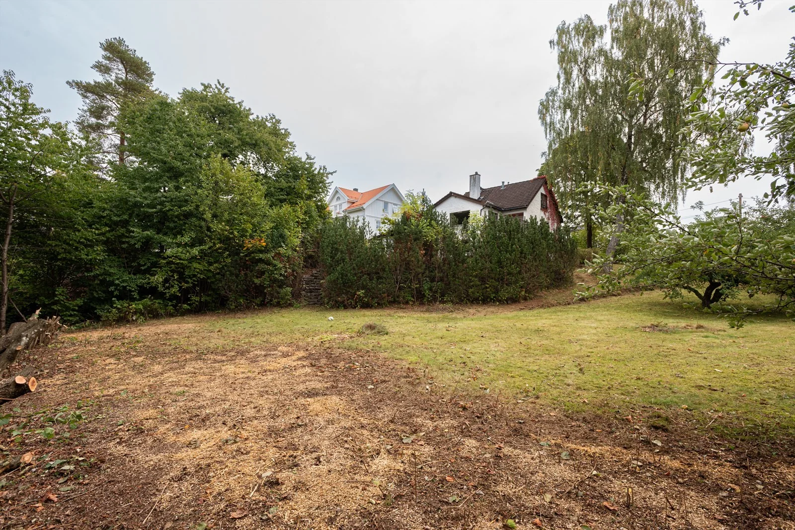 Photo 66