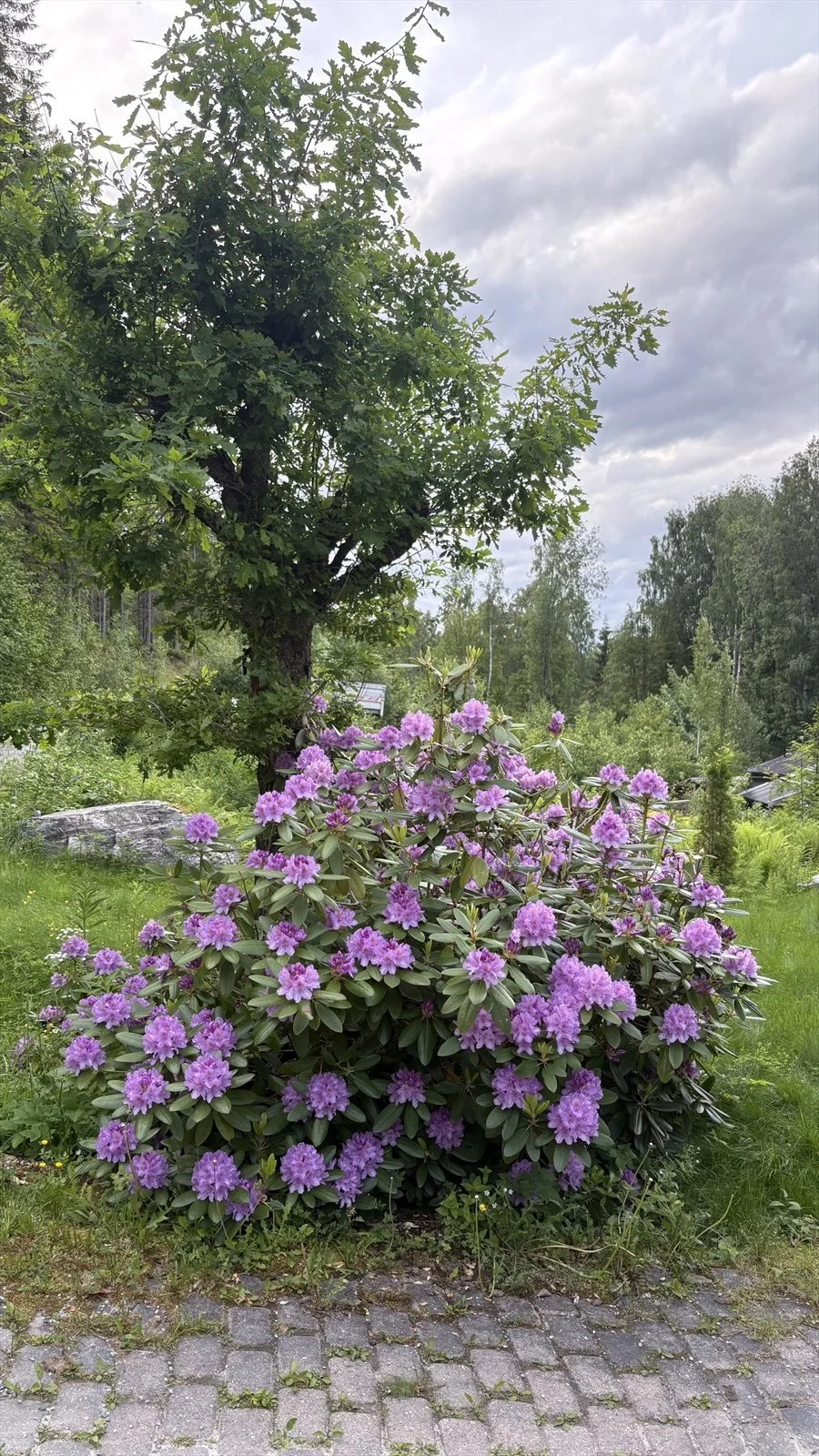 Photo 32