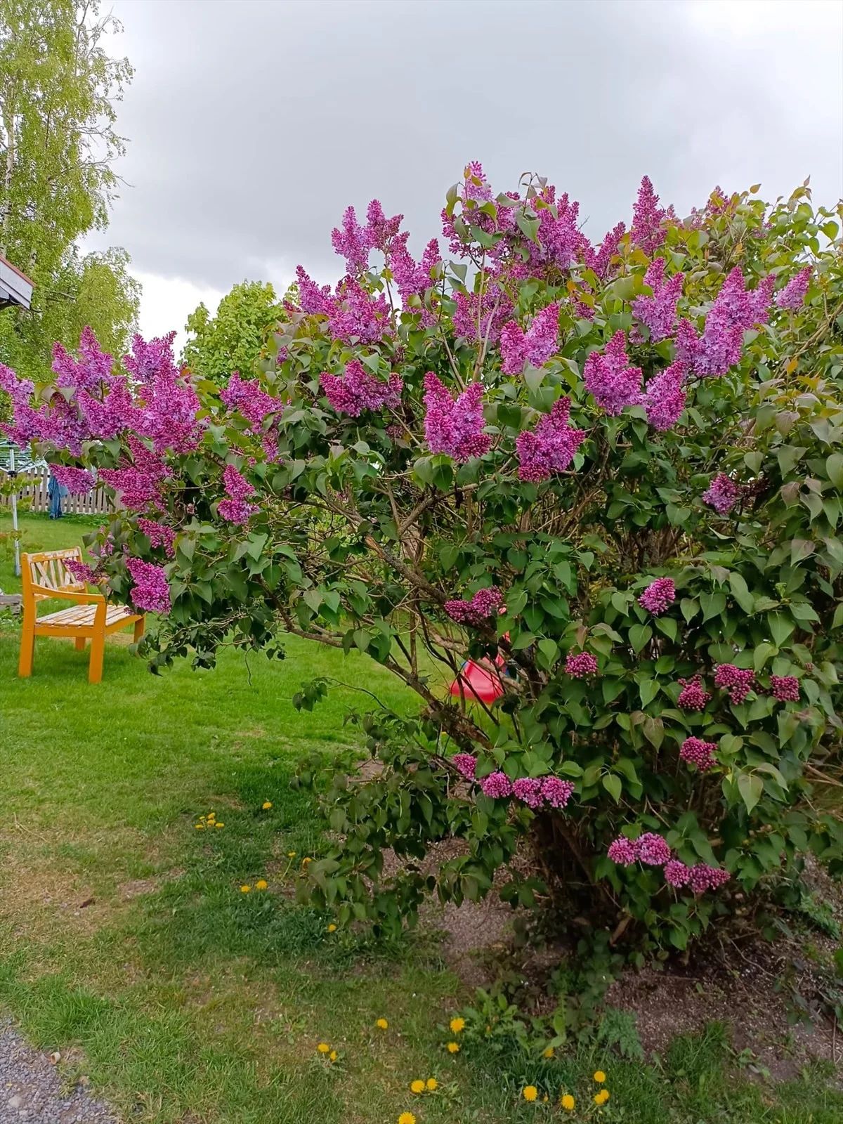 Photo 44