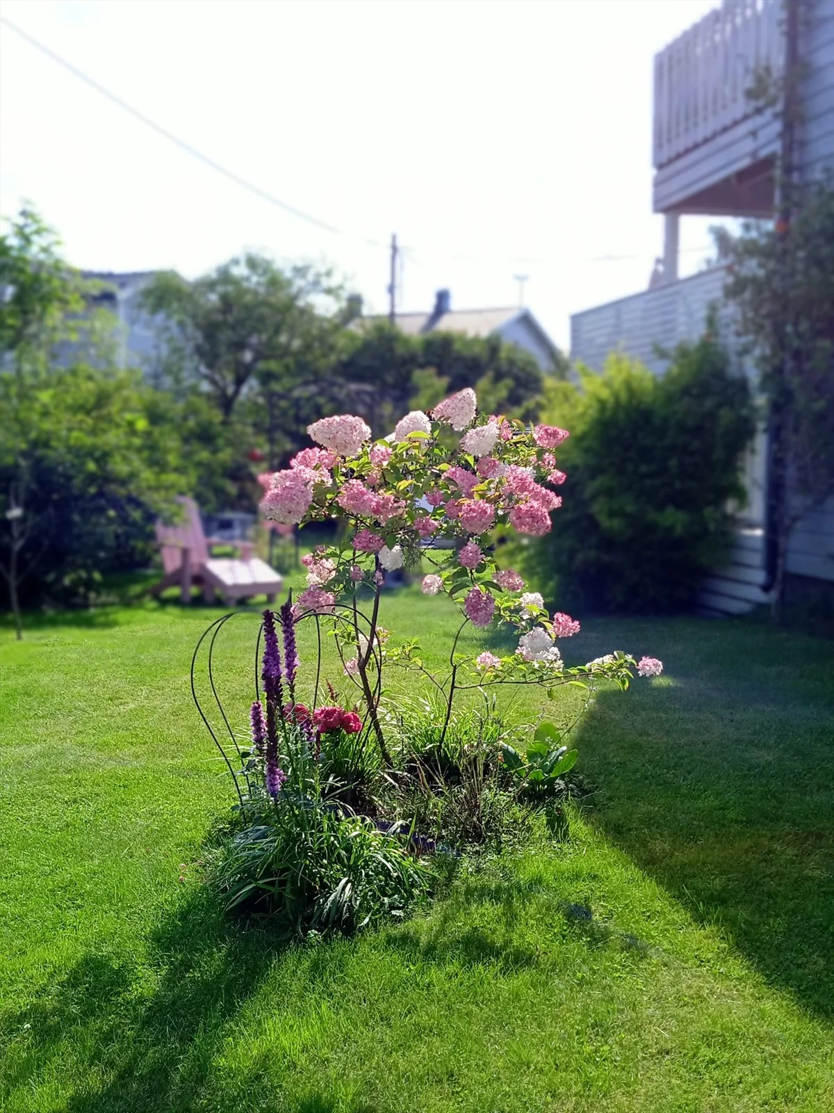 Photo 49