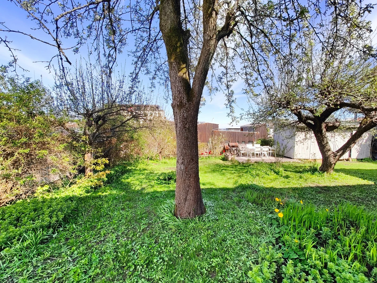 Photo 37