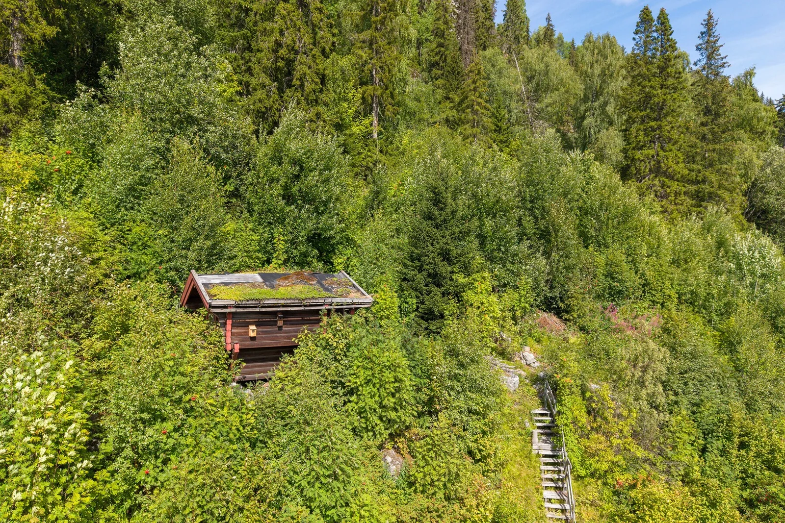 Photo 43