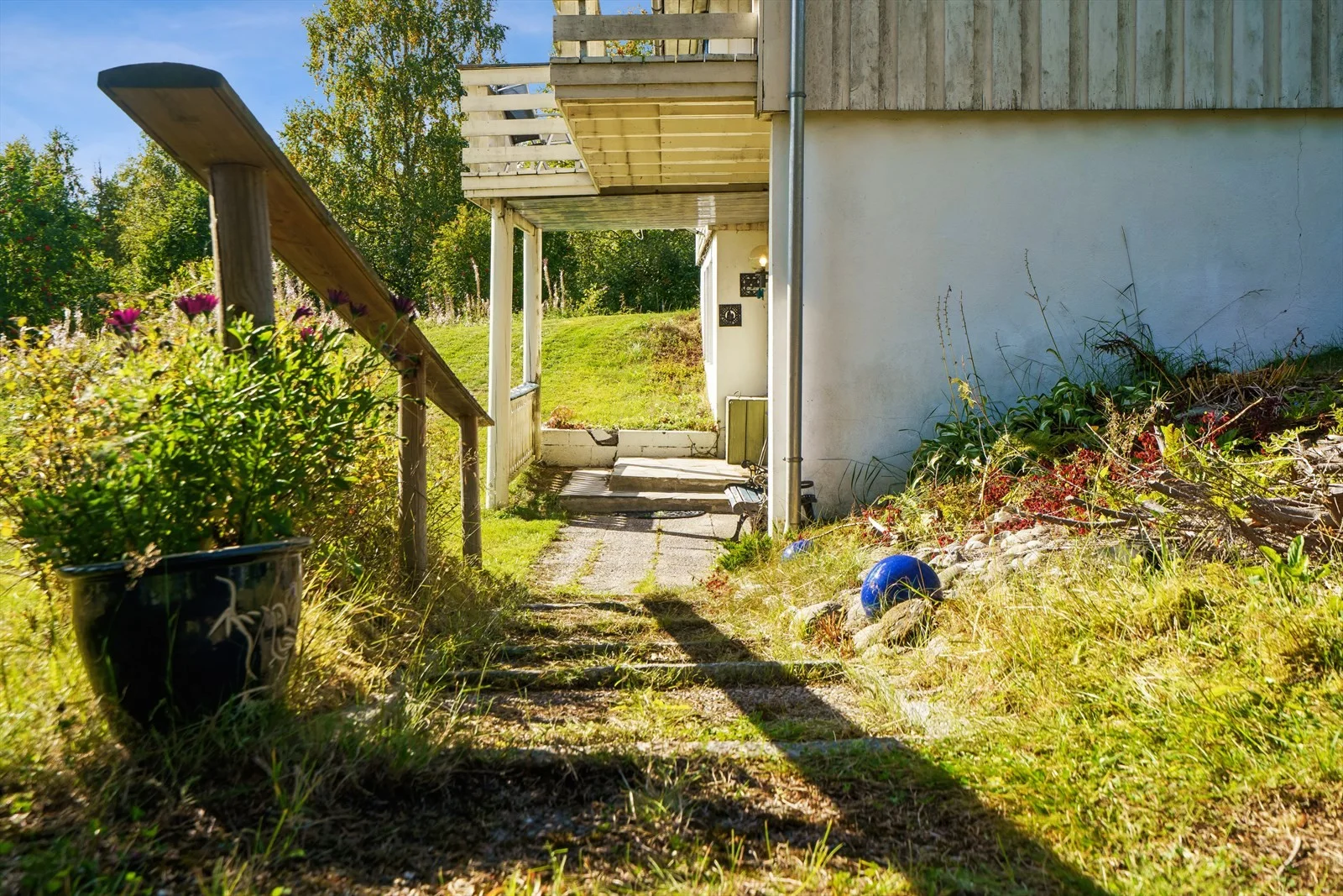 Photo 33