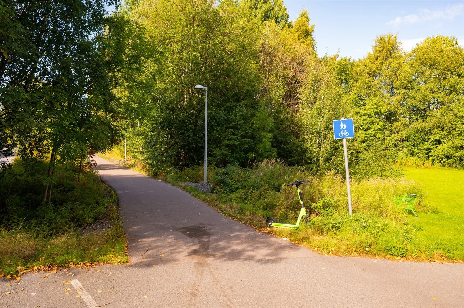Photo 26