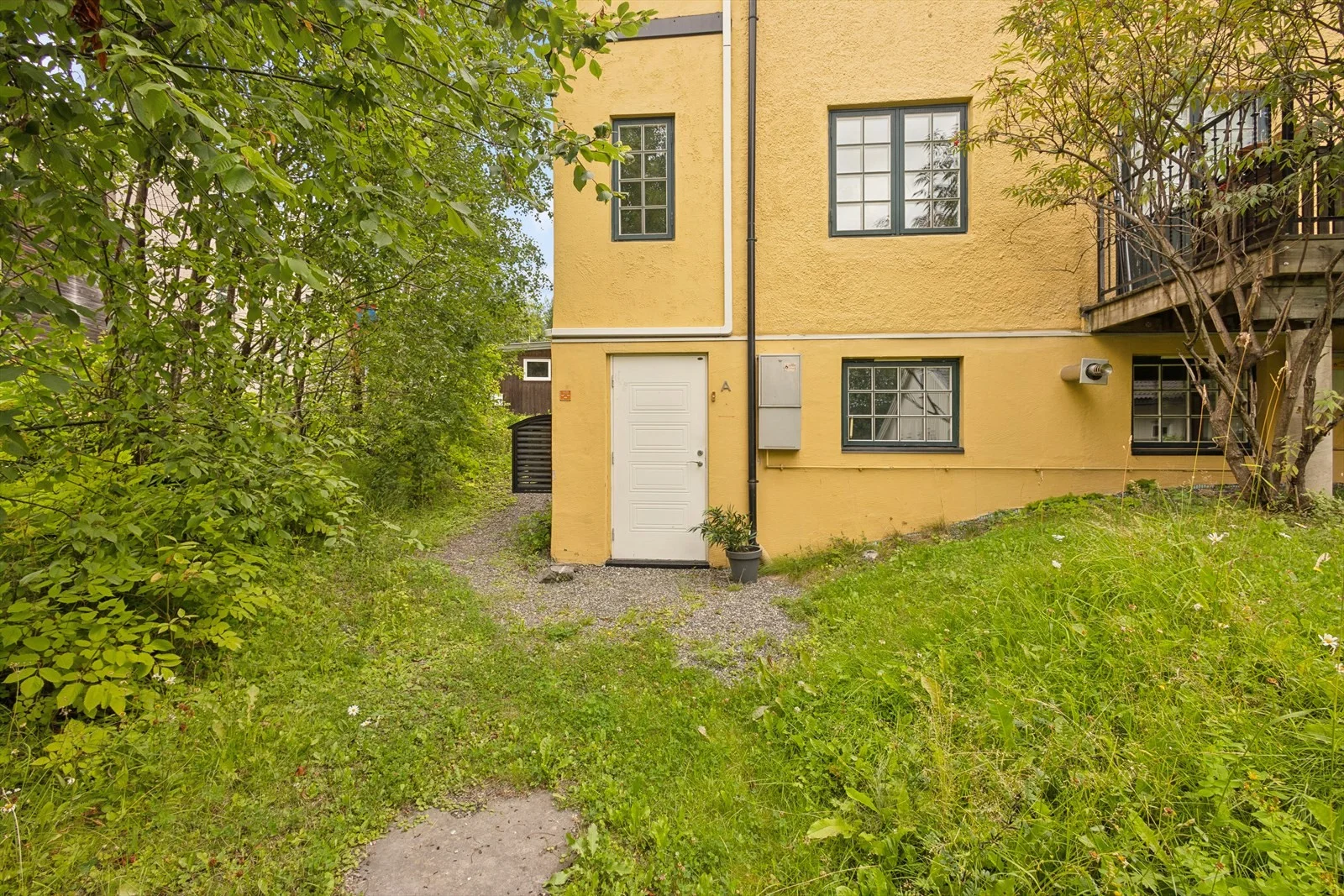 Photo 4