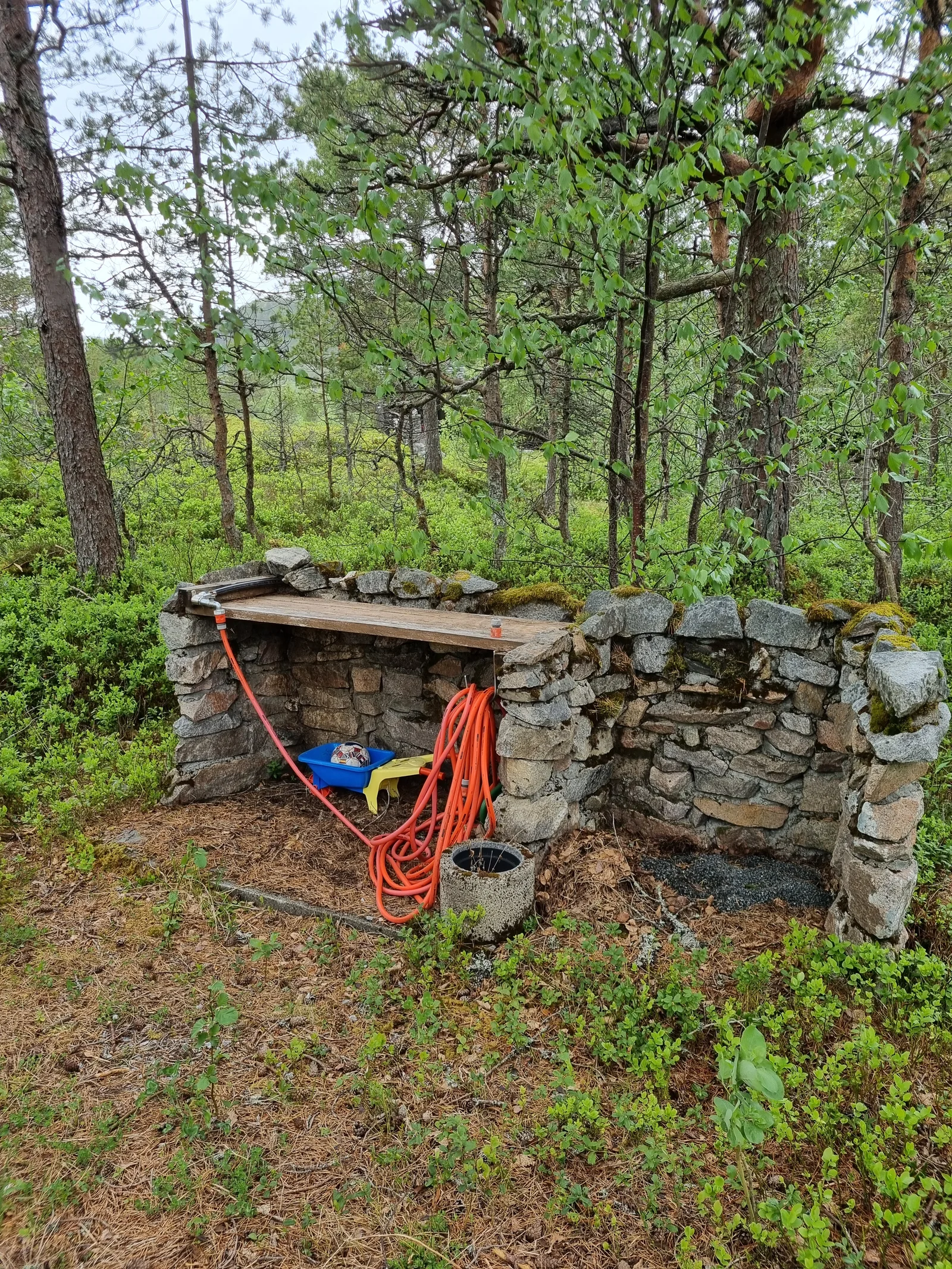 Photo 21