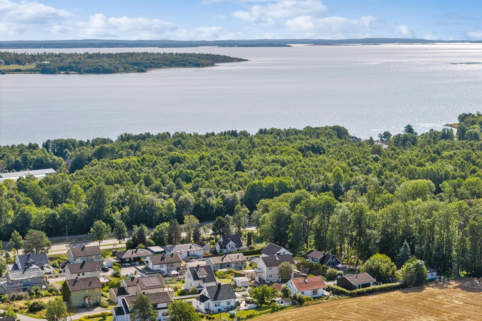 Photo 44