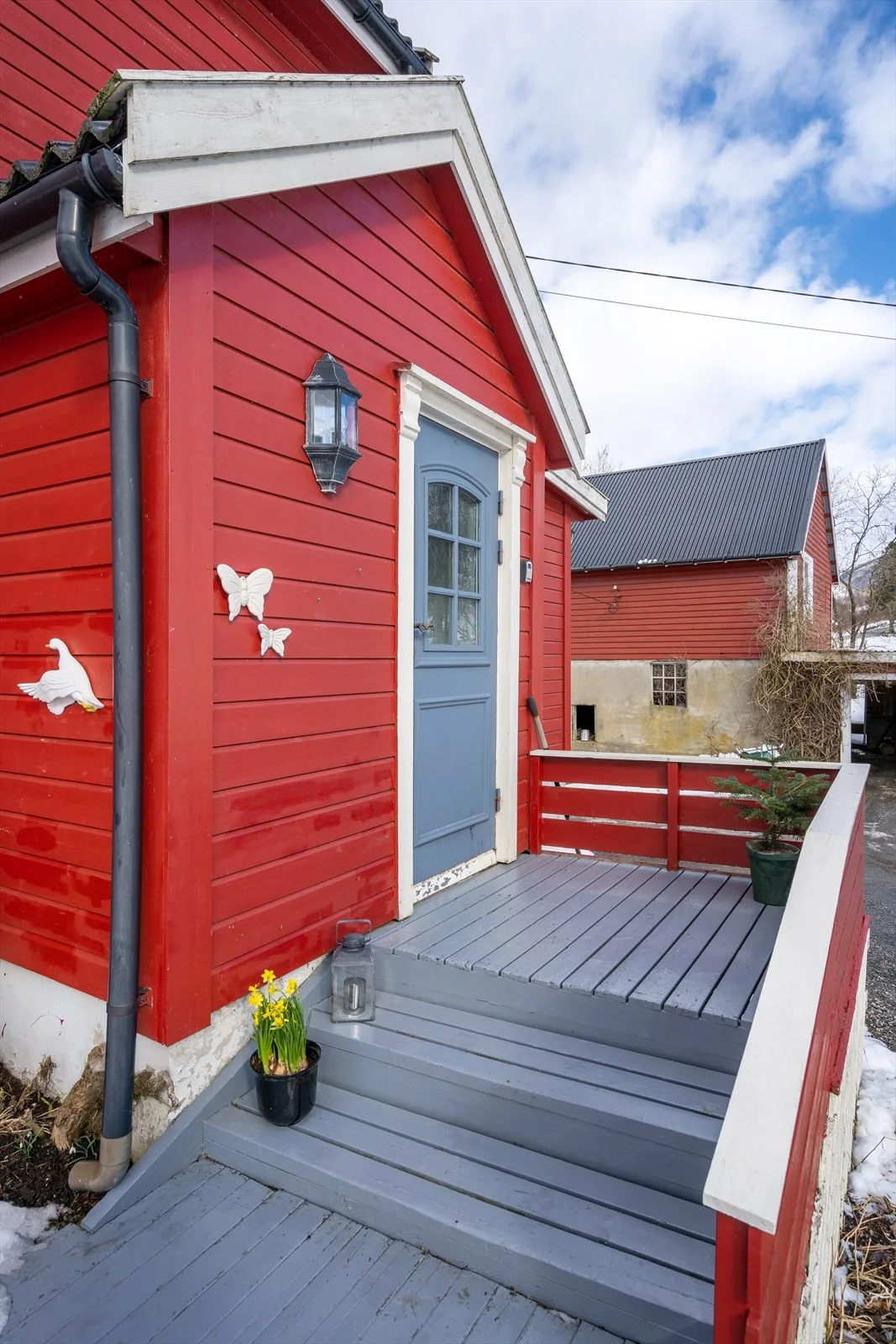 Photo 11