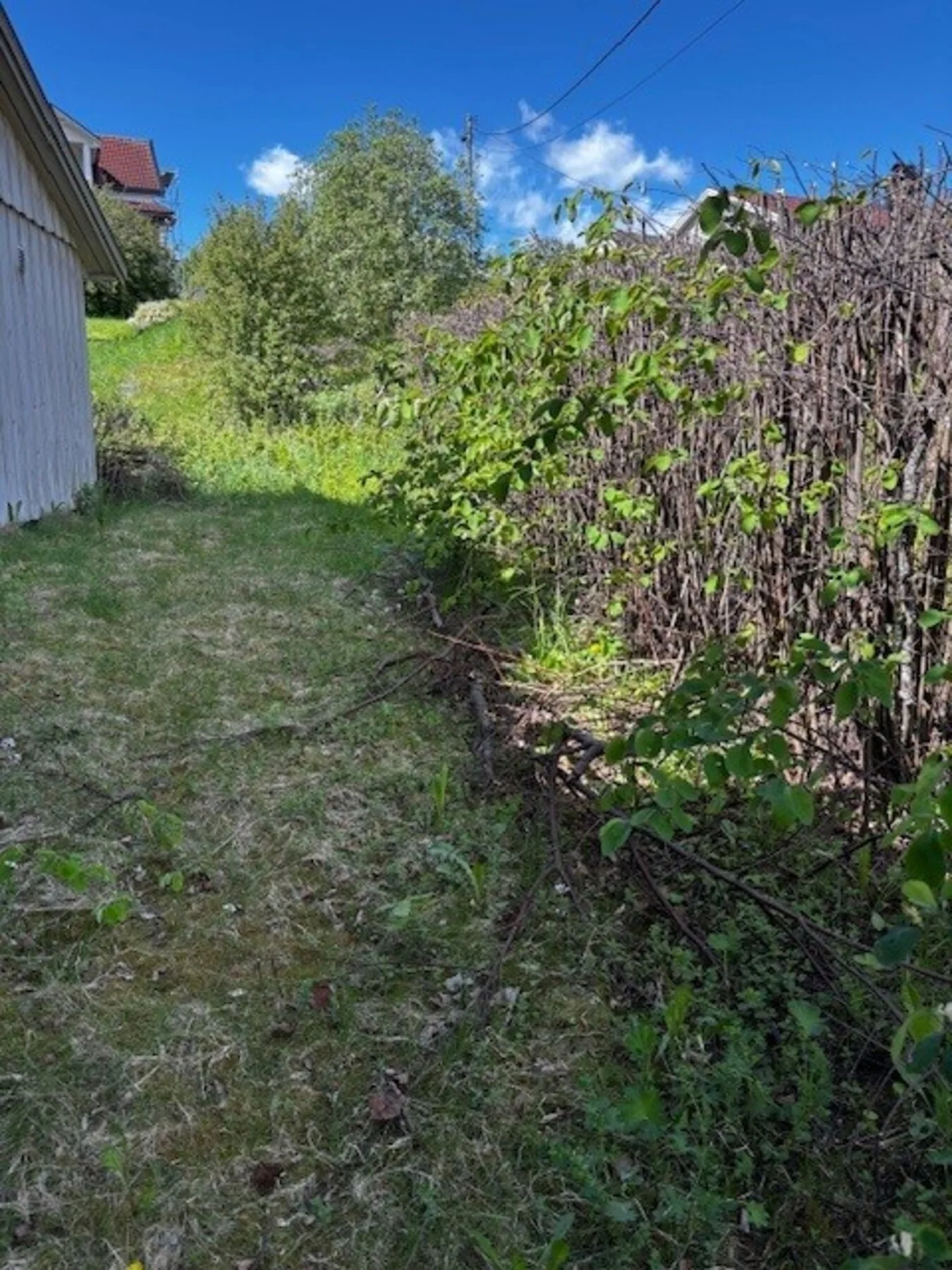 Photo 7