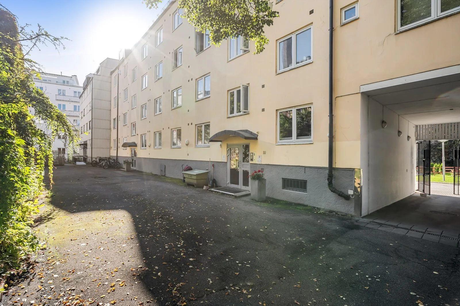 Photo 19