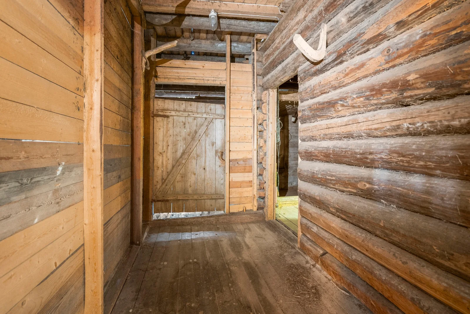 Photo 42