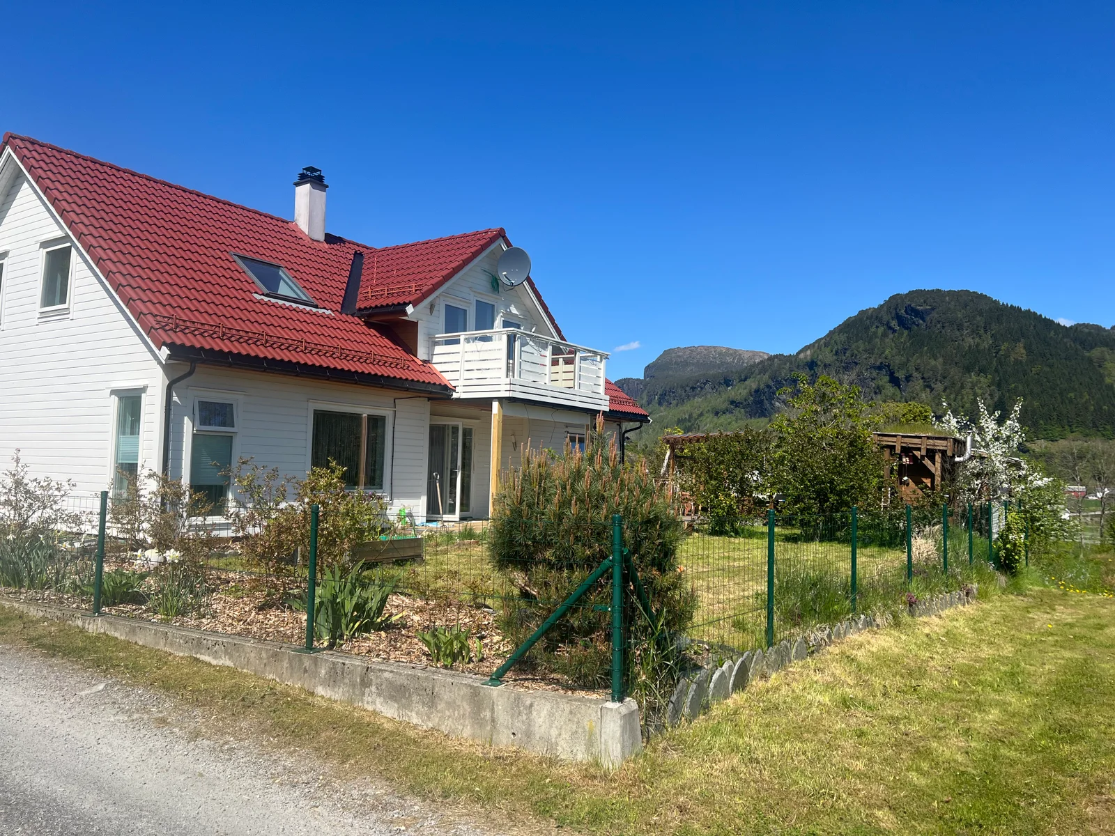 Photo 4