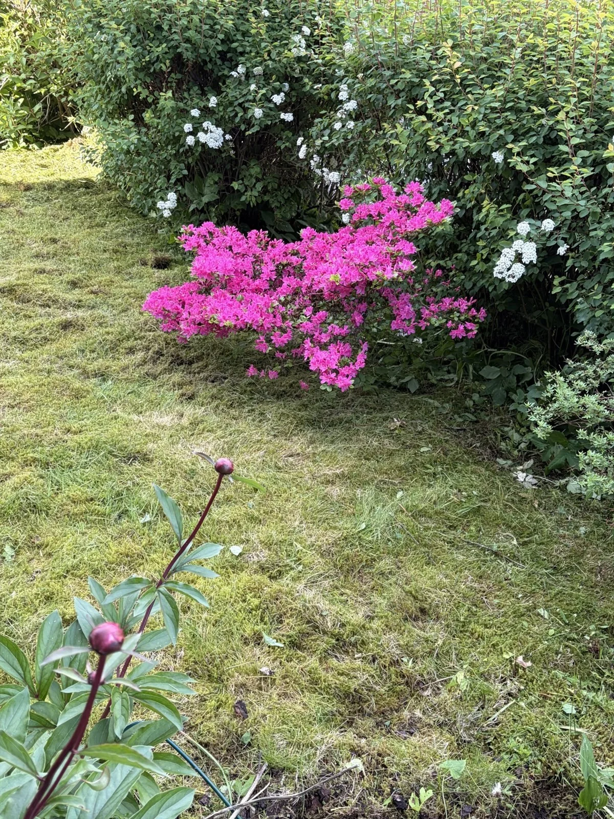 Photo 36
