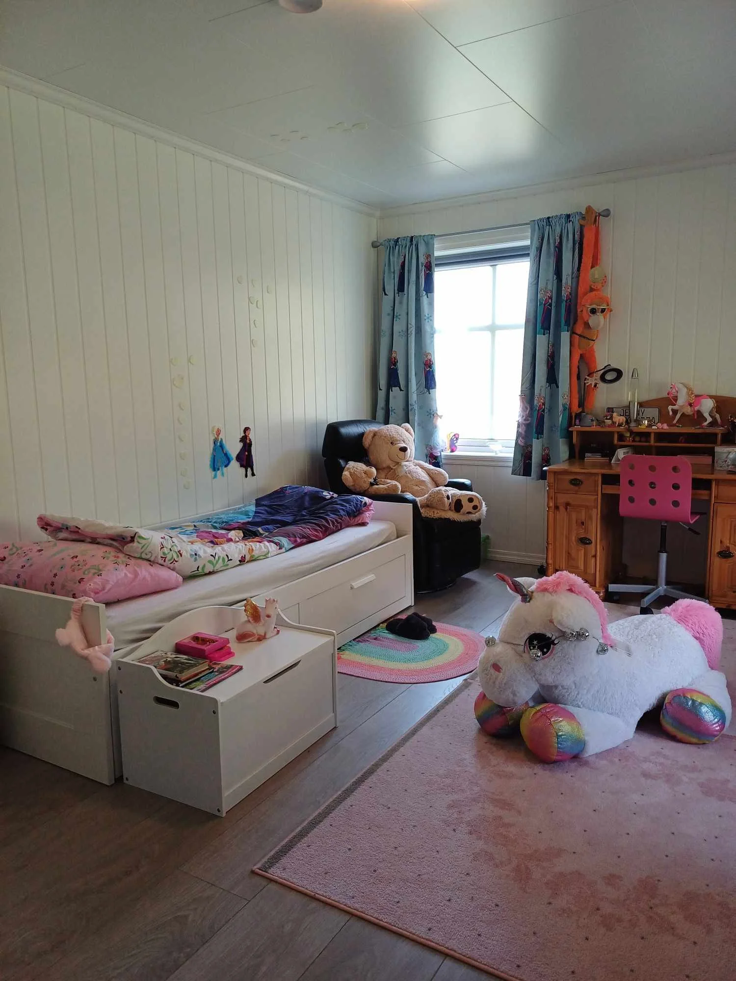 Photo 43