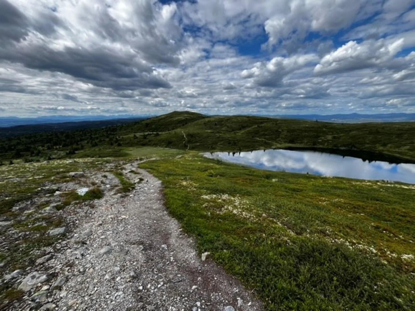 Photo 45