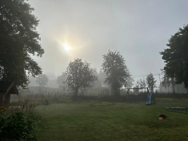 Photo 32