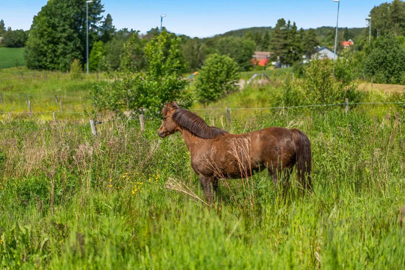 Photo 44
