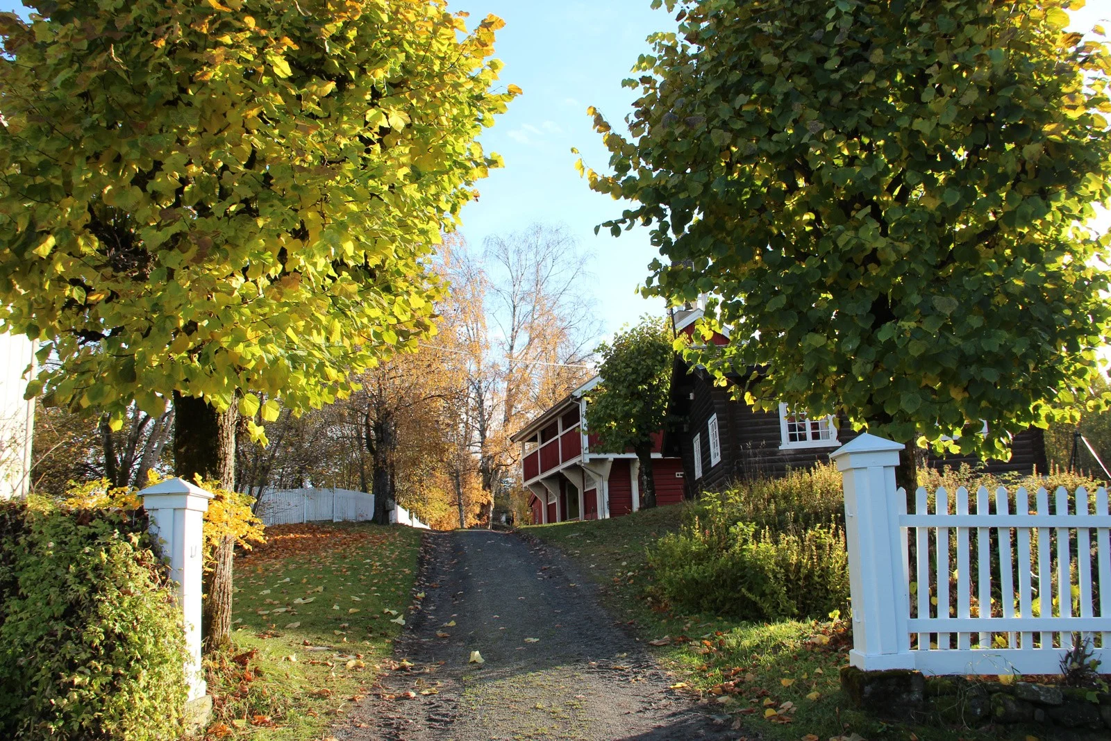 Photo 15