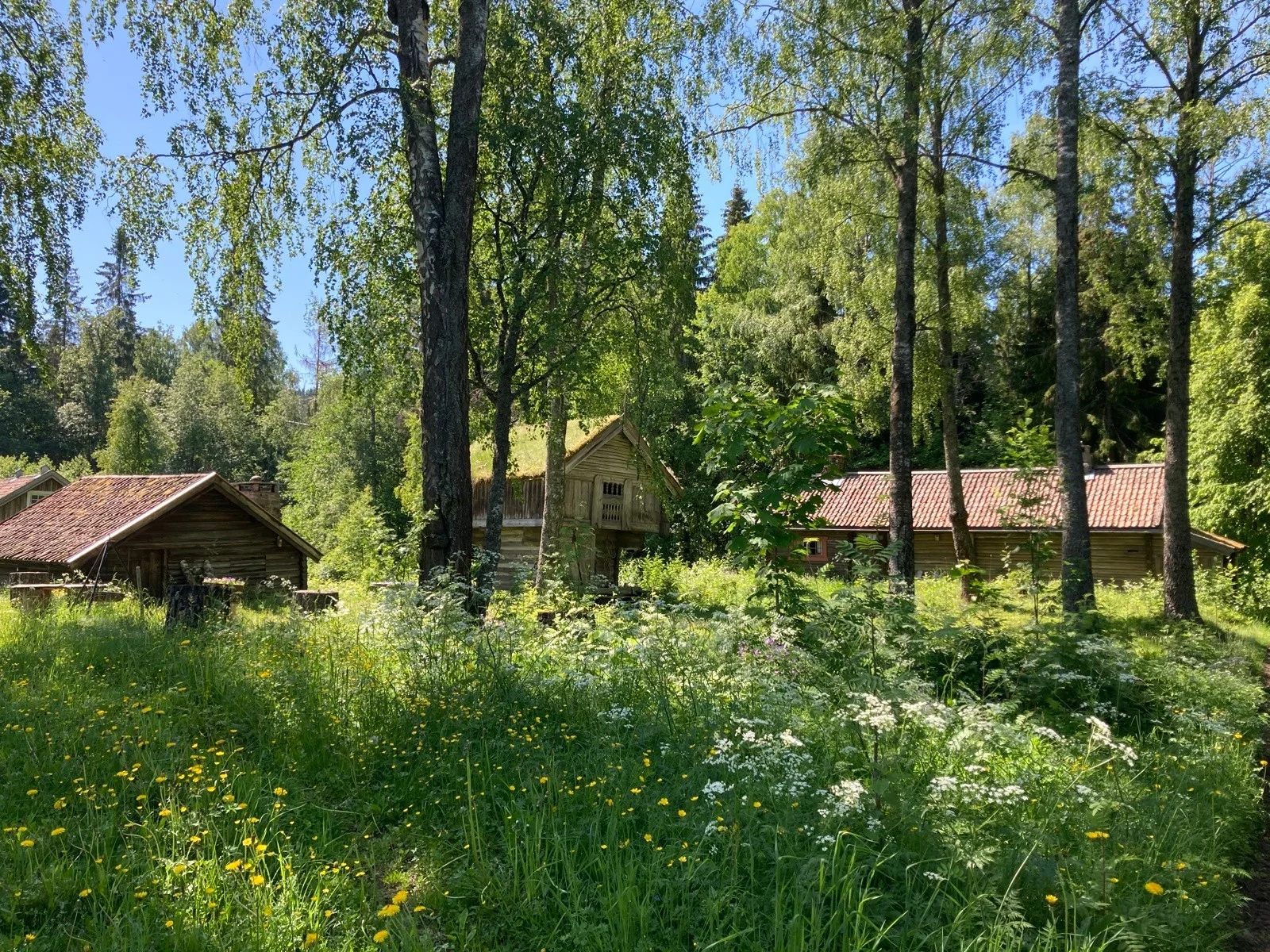 Photo 19