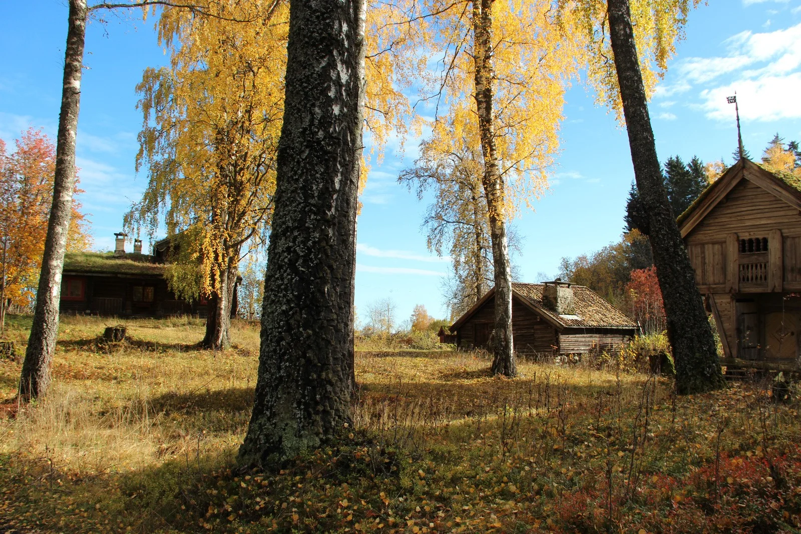 Photo 21