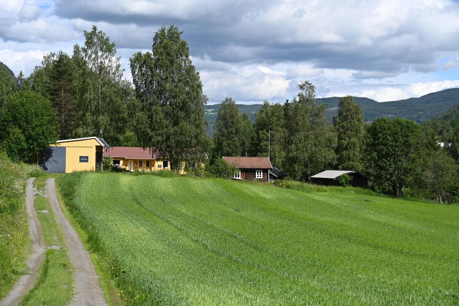 Photo 44