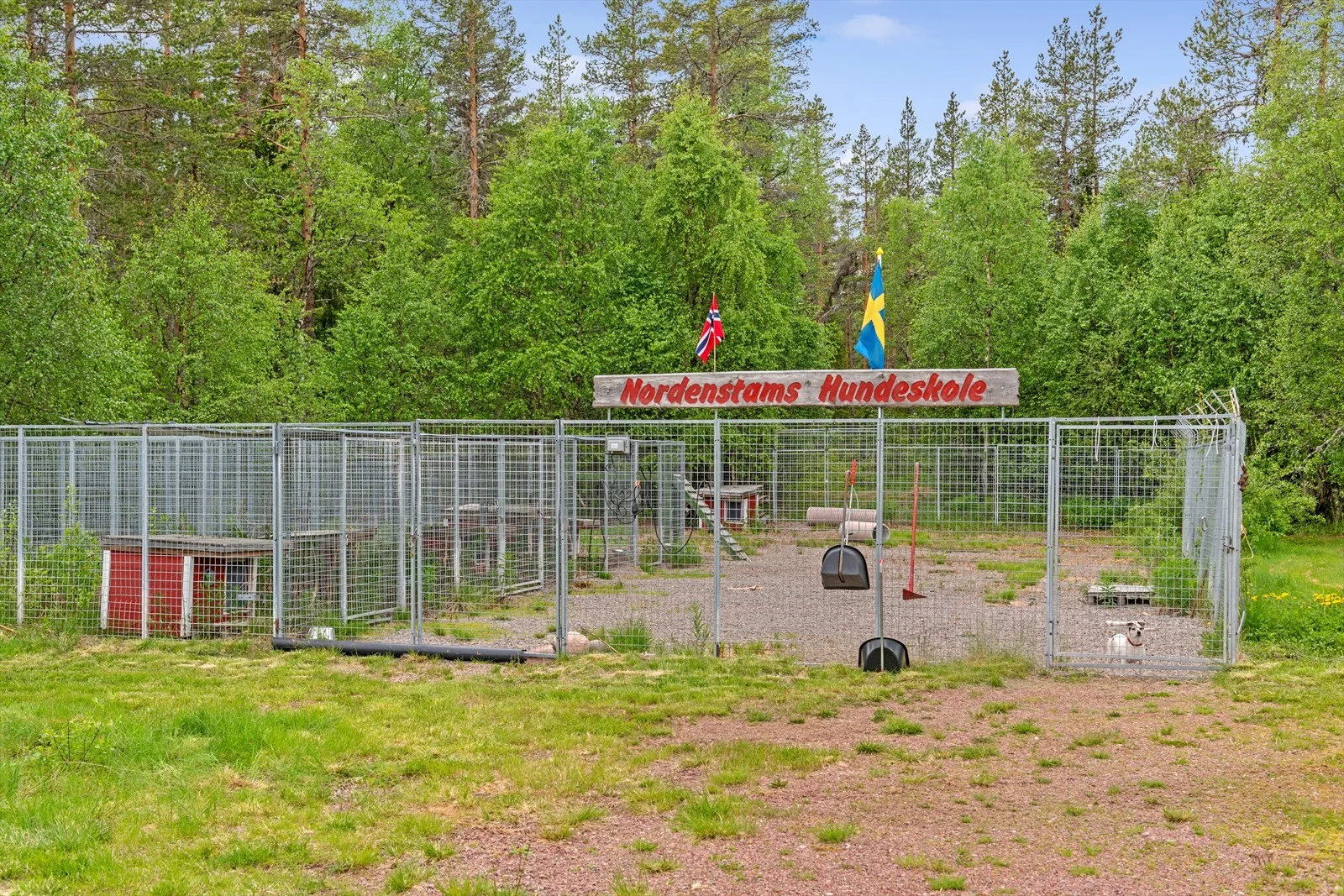 Photo 25