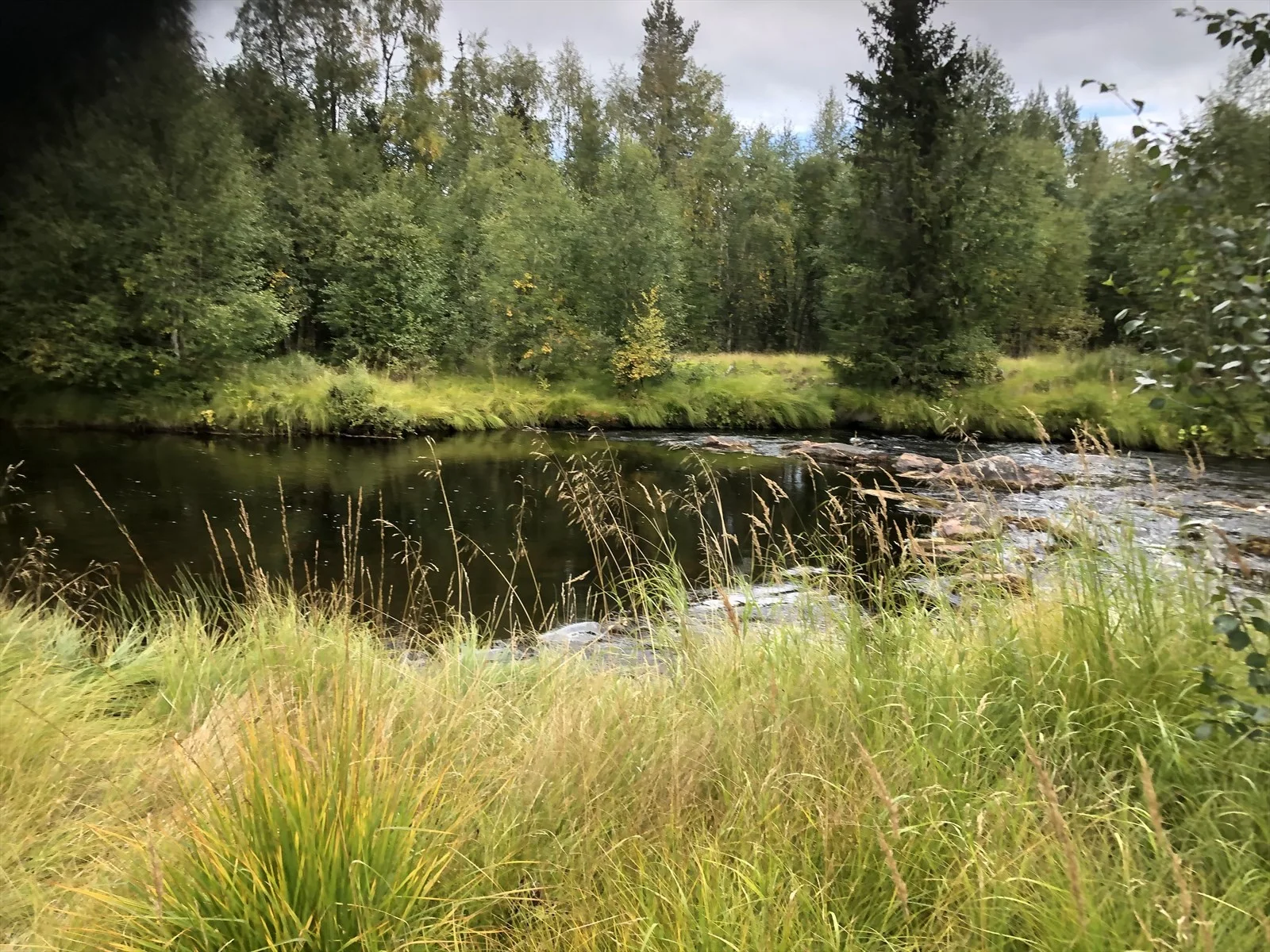 Photo 36