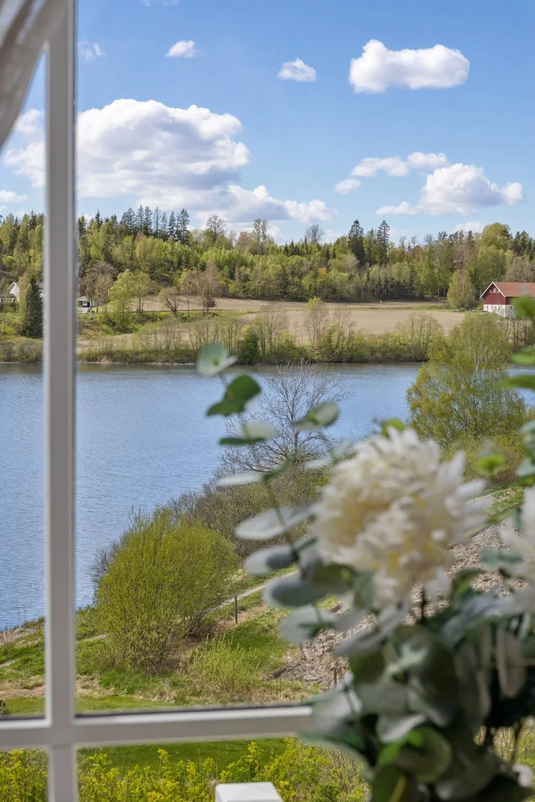 Photo 35