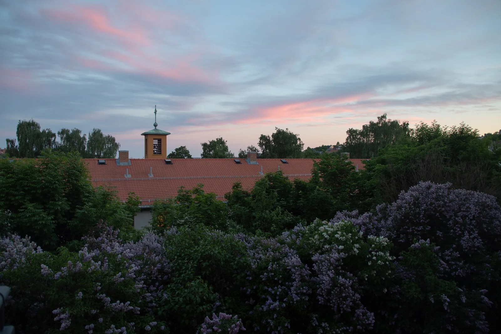 Photo 44