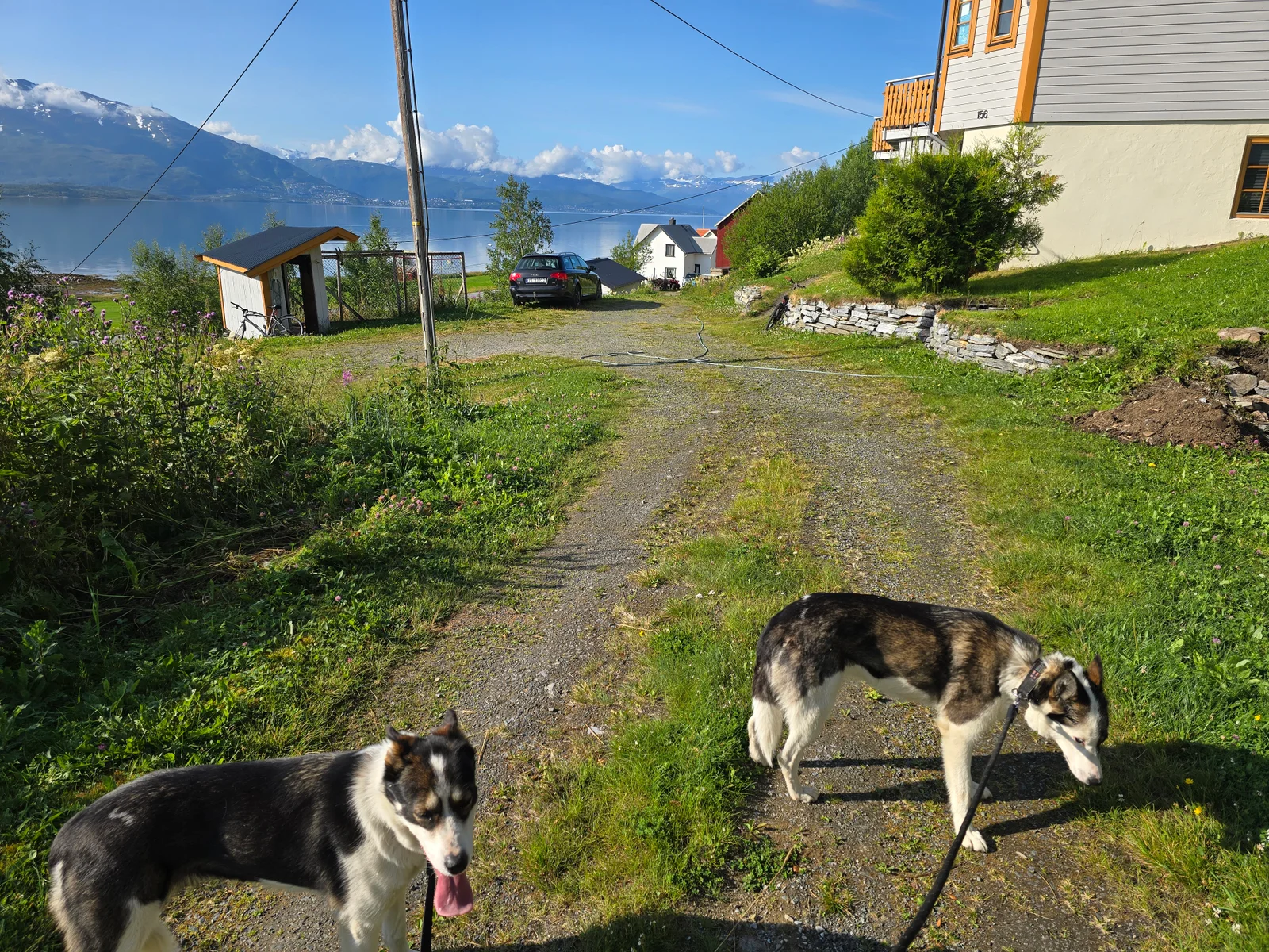 Photo 28
